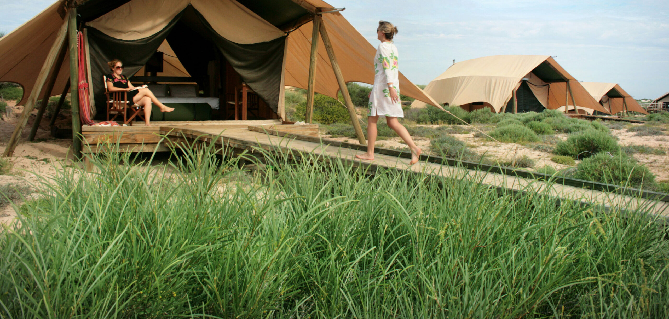 sal salis wilderness tent