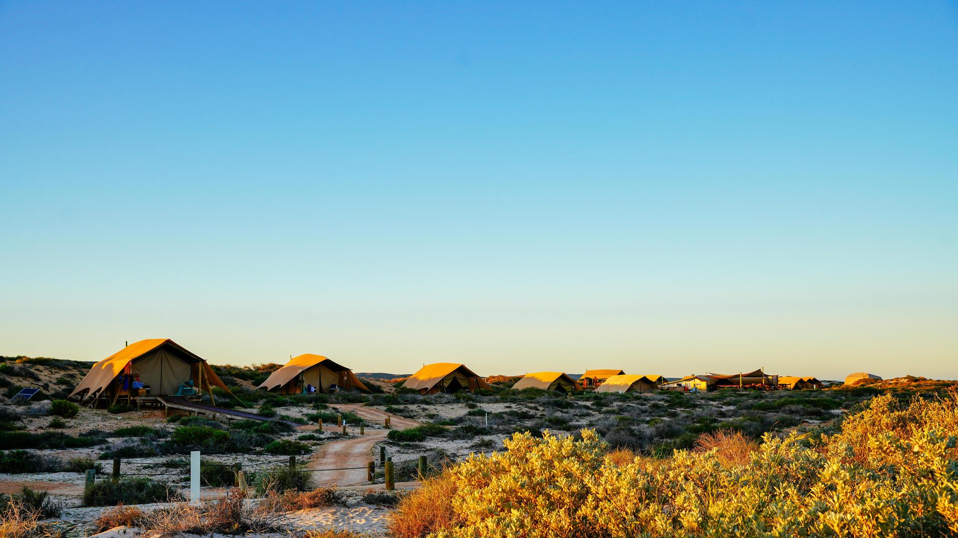 ningaloo reef campsite tents at sunset