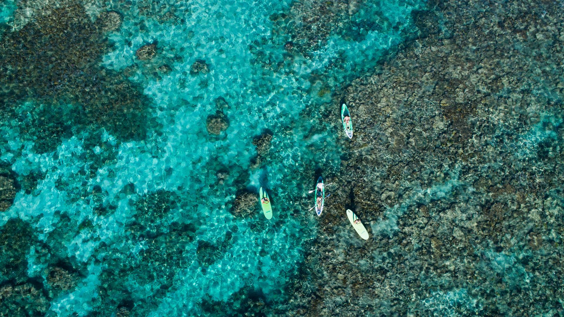 aerial view of paddle boarding